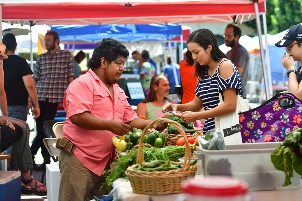 Farmers Market at Hays County Historic Courthouse