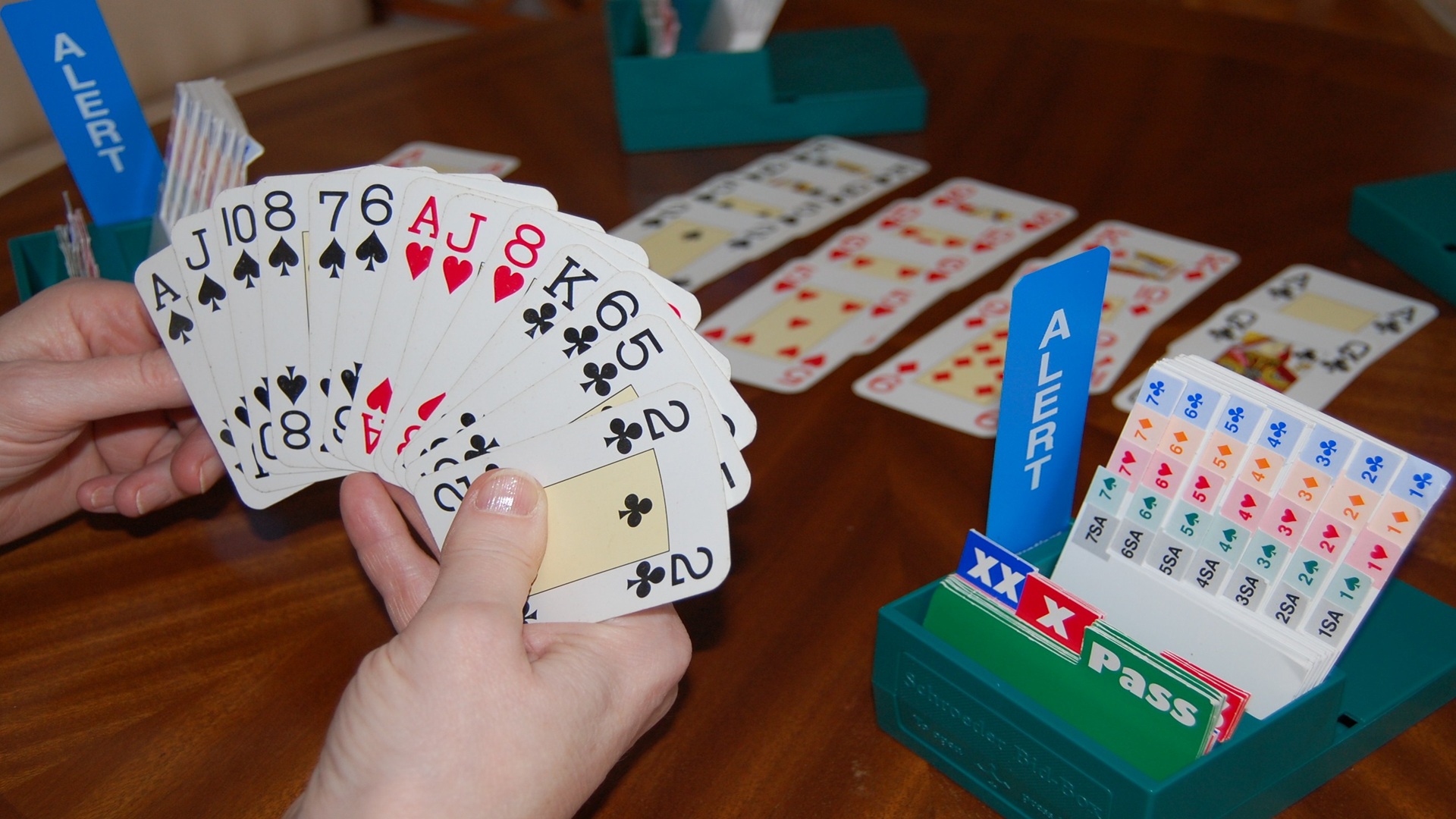 Play Bridge! at San Marcos Public Library